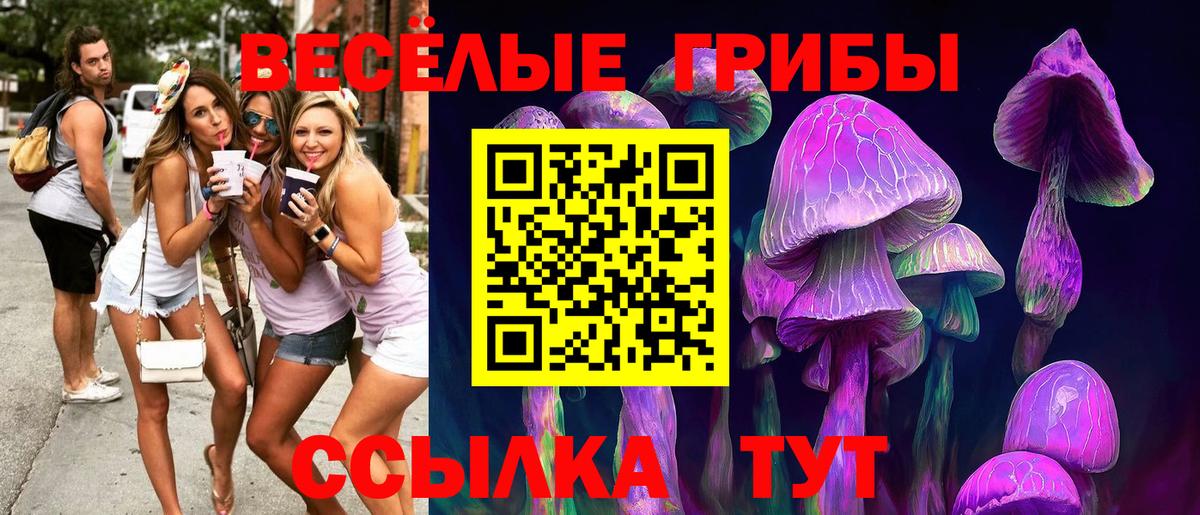 Чебоксары  Галлюциногенные грибы MAGIC MUSHROOMS  Вход с VPN 